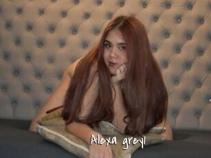 Alexa_grey1