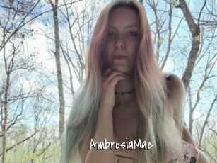 AmbrosiaMae