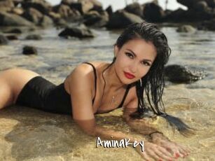 AminaKey