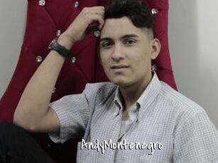 AndyMontenegro