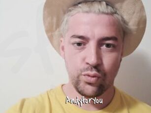 AndyforYou