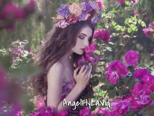AngelFlyLaVid