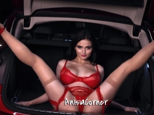 AnisiaCorner