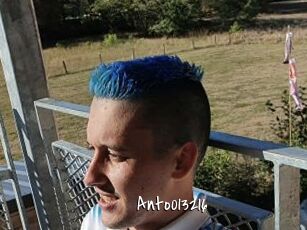 Anto013216