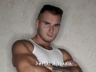 Antoni_adrenal1n