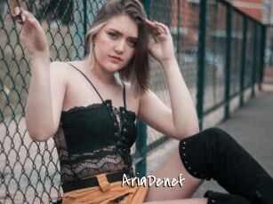 AriaDenef