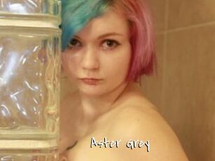 Aster_Grey