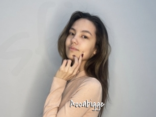 Accabigge