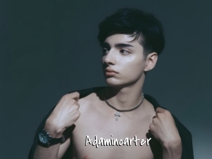 adamincarter Sexy Footjobs