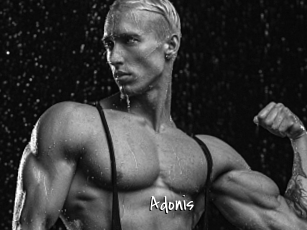 Adonis_