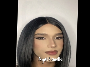Agattamills