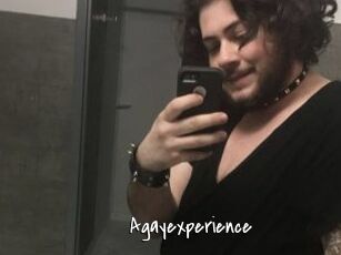 Agayexperience