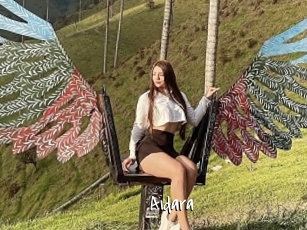Aidara