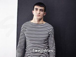 Amincharles