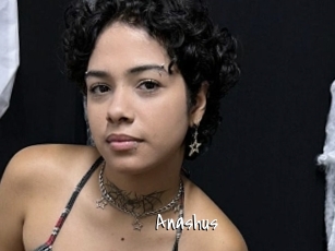 Anashus