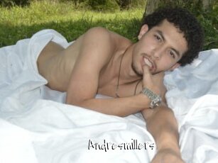 Andresmillers