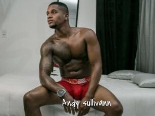 Andy_sullivann