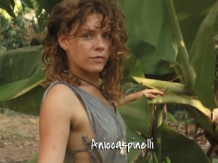Aniccaspinelli