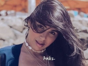 Aniliz
