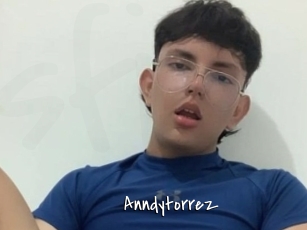 Anndytorrez