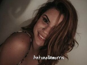 Antonellamorris