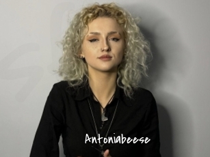 Antoniabeese