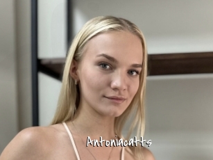 Antoniacatts