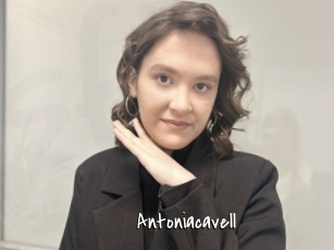 Antoniacavell