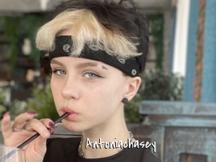 Antoniachasey