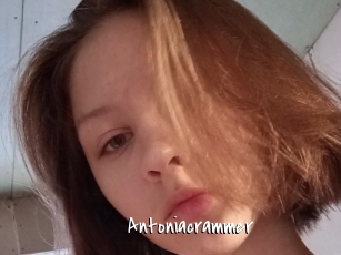 Antoniacrammer