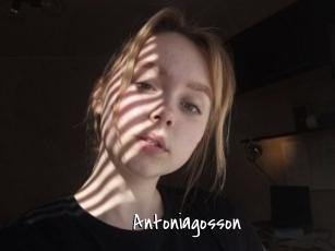 Antoniagosson
