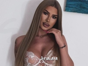 Ariacara