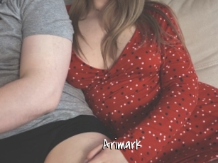 Arimark