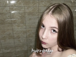 Audreybagge