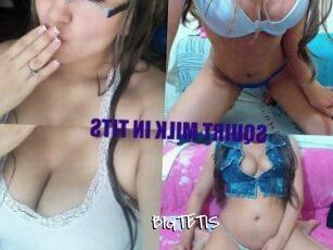 BIG_TETIS