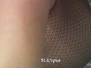 BLQSpice