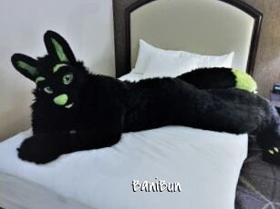 BaniBun