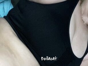 Bella_cat