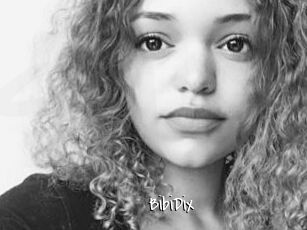 BibiDix