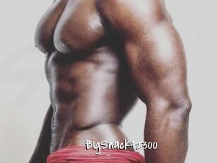 BigSnack42300
