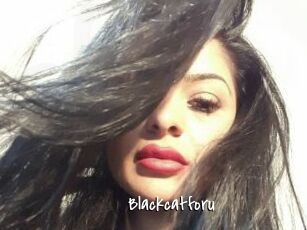 Blackcatforu