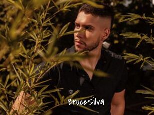 BruceSilva