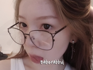 Baberabbid
