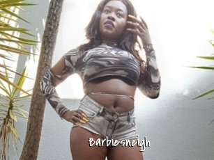 Barbiesneigh