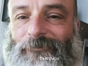 Bearpig001