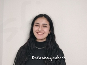 Berenicegleghorn