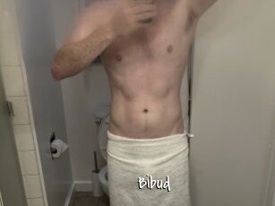 Bibud