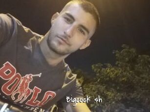 Bigcock_sh