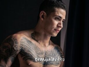 Brandonlavitt0