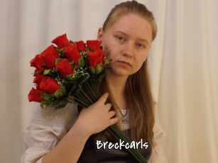 breckcarls Sexy Footjobs